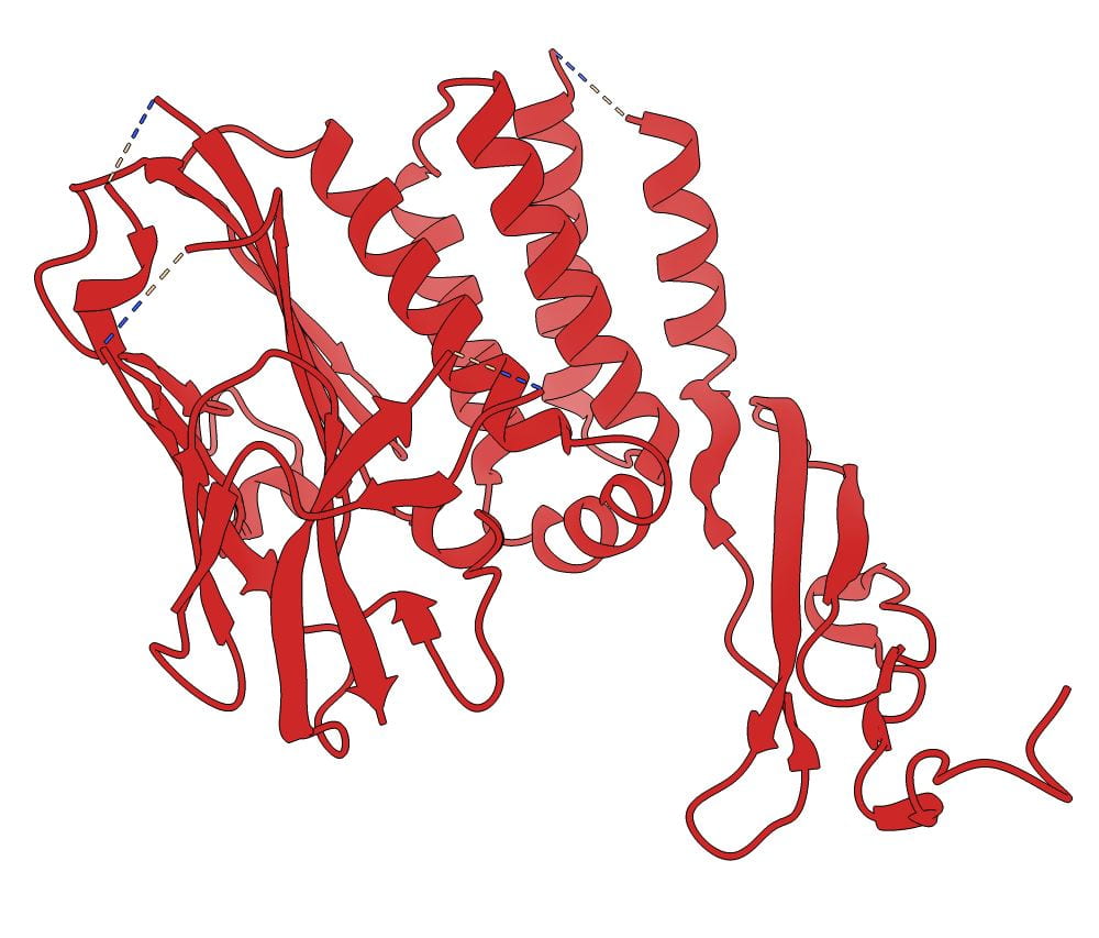 Crystal structure of the GAIN and HormR domains of BAI3