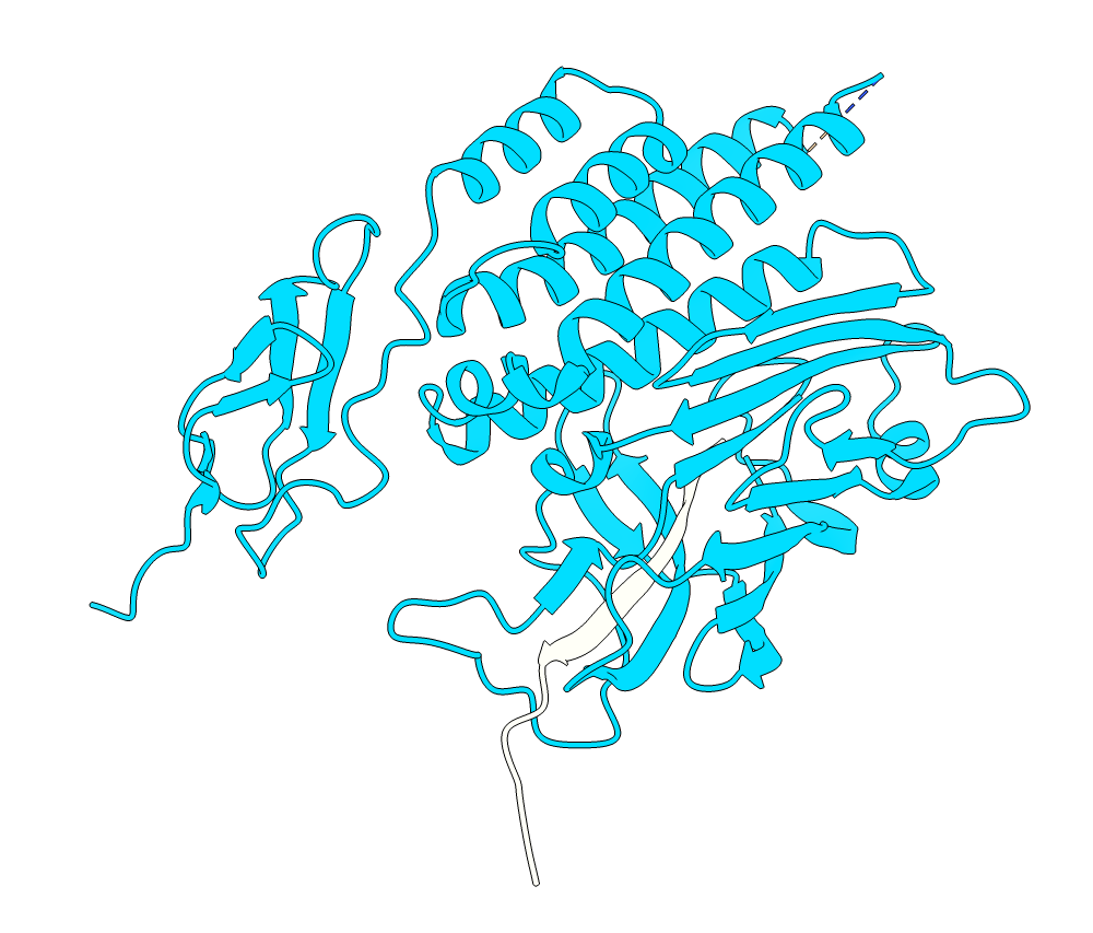 Crystal structure of the GAIN and HormR domains of CIRL 1/Latrophilin 1 (CL1)